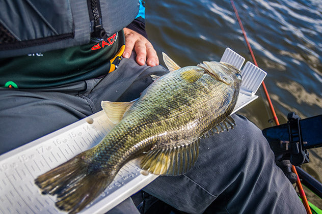 Jumping Ruler Fish Minimum Length, Slot Limits and Your Fish Ruler – YakGear.com